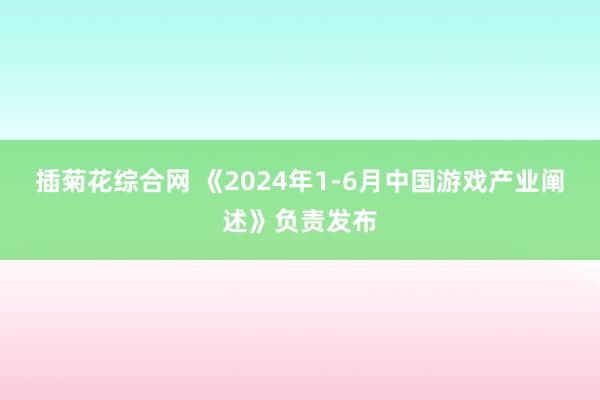 插菊花综合网 《2024年1-6月中国游戏产业阐述》负责发布