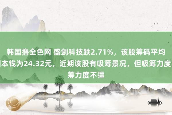 韩国撸全色网 盛剑科技跌2.71%，该股筹码平均来回本钱为24.32元，近期该股有吸筹景况，但吸筹力度不彊