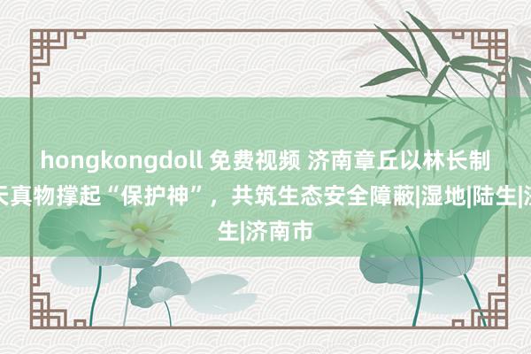 hongkongdoll 免费视频 济南章丘以林长制为野天真物撑起“保护神”，共筑生态安全障蔽|湿地|陆生|济南市